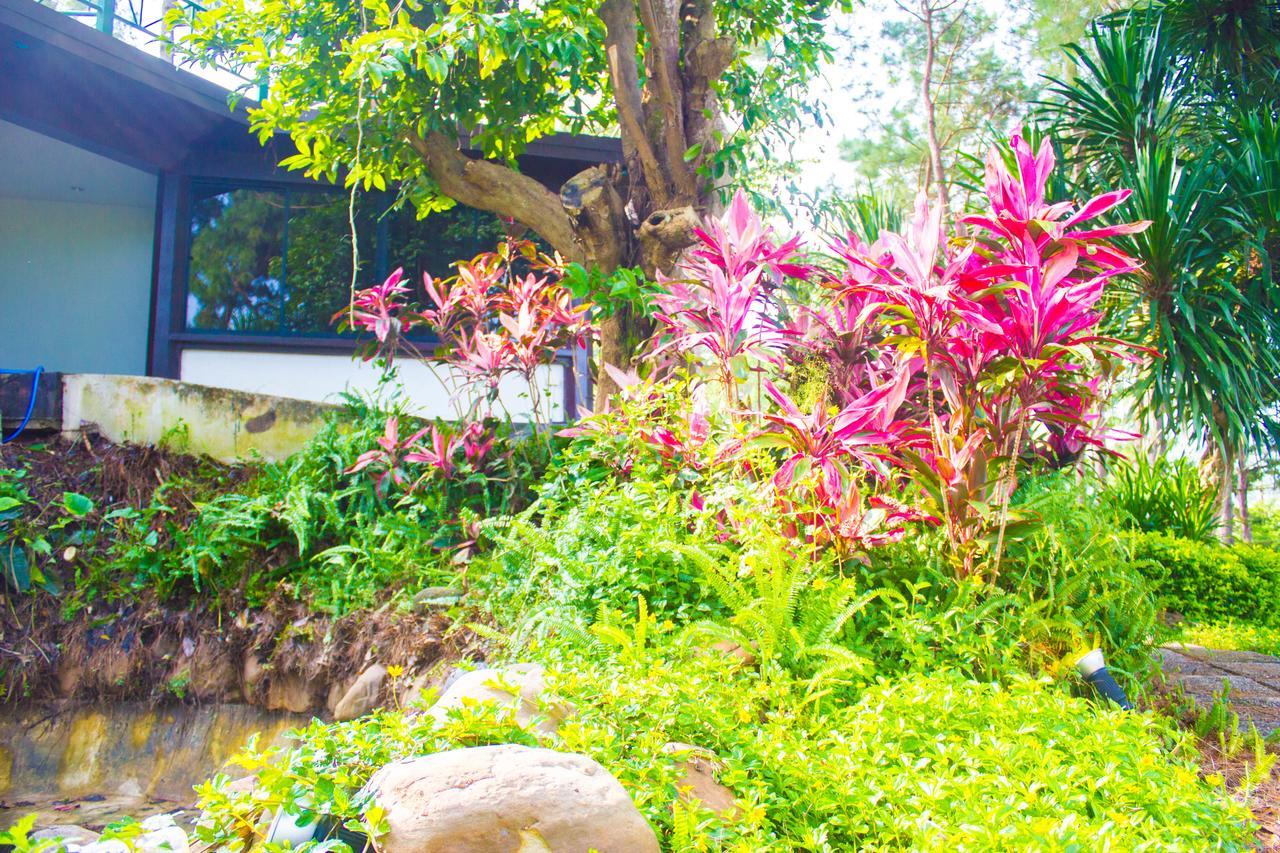 Bird Land Resort เขาค้อ ภายนอก รูปภาพ