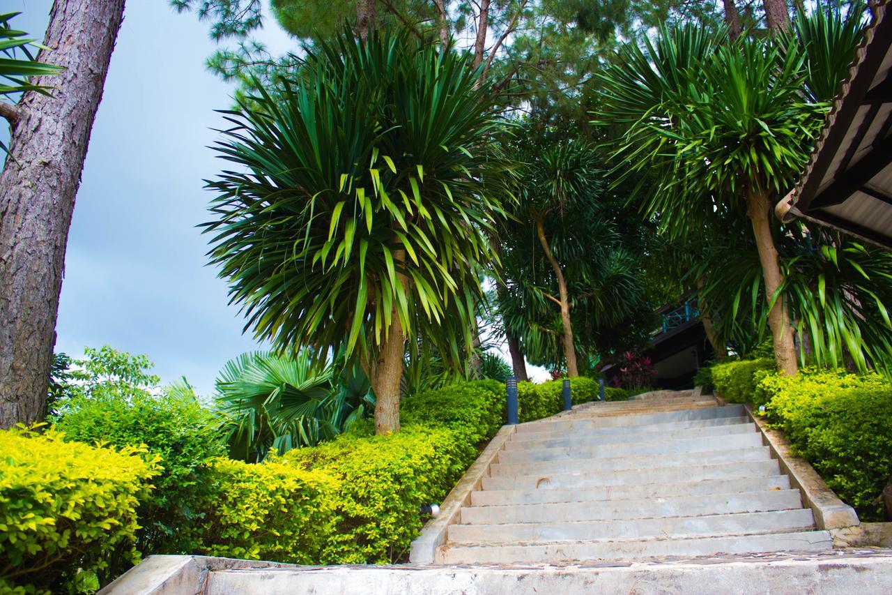 Bird Land Resort เขาค้อ ภายนอก รูปภาพ