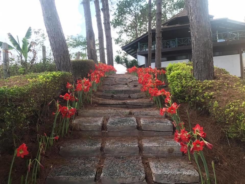 Bird Land Resort เขาค้อ ภายนอก รูปภาพ
